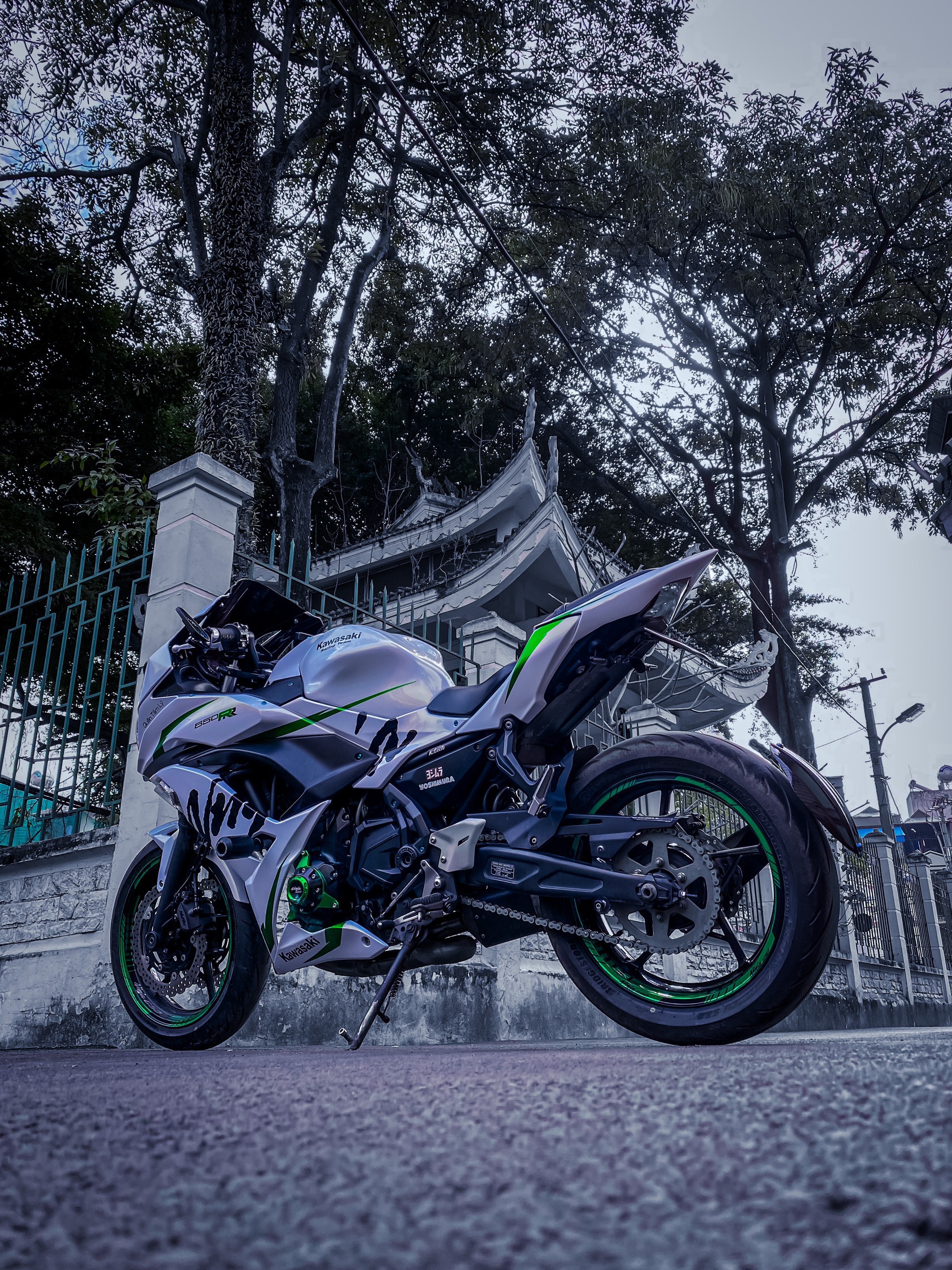 NinJa650  tem cao cấp sang xịn min-Trắng Xanh